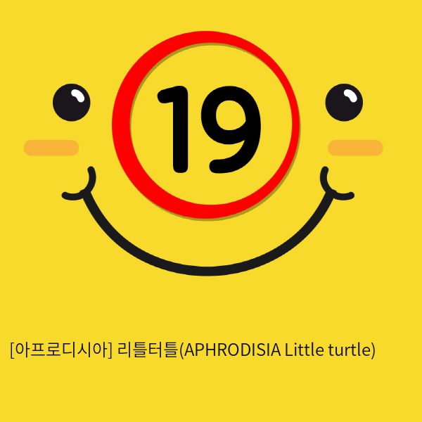 [아프로디시아] 리틀터틀(APHRODISIA Little turtle)